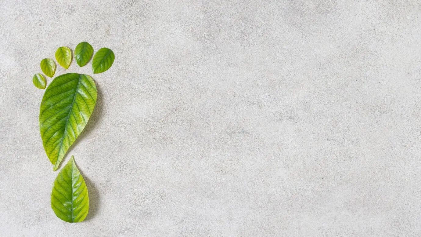 Stillleben-Komposition mit Elementen eines nachhaltigen Lebensstils