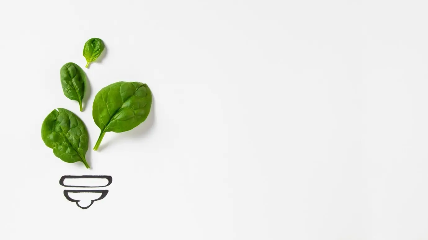 Konzept für umweltfreundliches Recycling